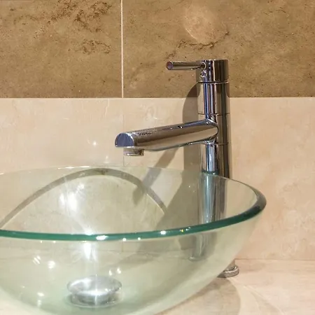 Monte - Avocado